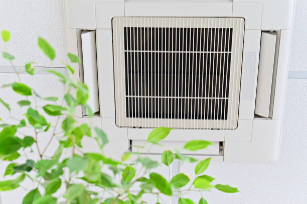 Best Home Air Vent Cleaning  in USA